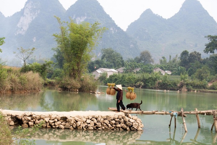 أمثال وحكم رائعة لتحسين حياتك