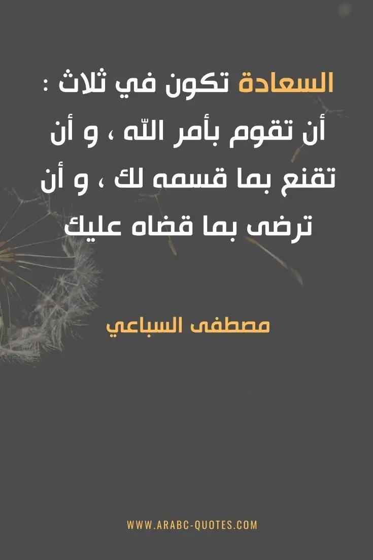 اقوال وحكم جميلة : السعادة تكون في ثلاث : أن تقوم بأمر الله ، و أن تقنع بما قسمه لك ، و أن ترضى بما قضاه عليك .