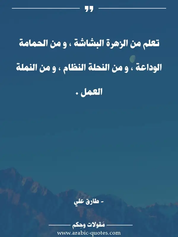 تعلم من الزهرة البشاشة ، و من الحمامة الوداعة ،... اقوال وحكم جميلة : تعلم من الزهرة البشاشة ، و من الحمامة الوداعة ، و من النحلة النظام ، و من النملة العمل .